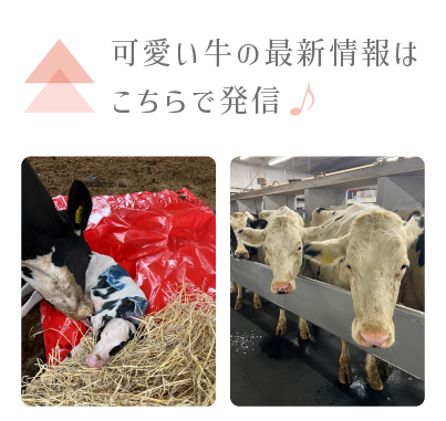 遷移画像02
